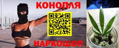 мяу мяу мука Владикавказ