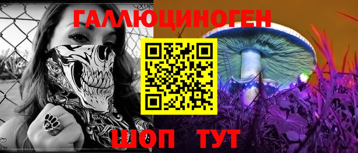 Гусиноозёрск  Псилоцибиновые грибы MAGIC MUSHROOMS  даркнет сайт  Псилоцибиновые грибы прущие грибы  Вход с VPN 