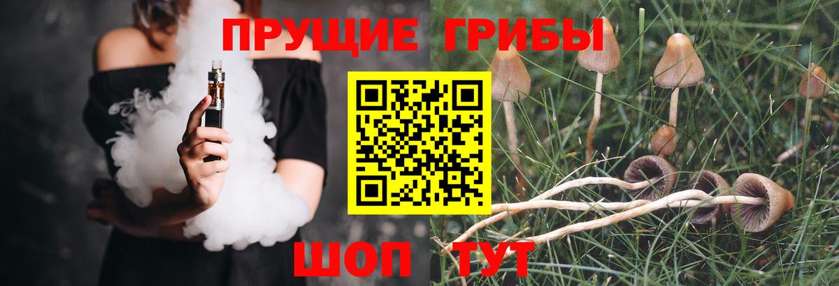 Галлюциногенные грибы MAGIC MUSHROOMS Гусиноозёрск