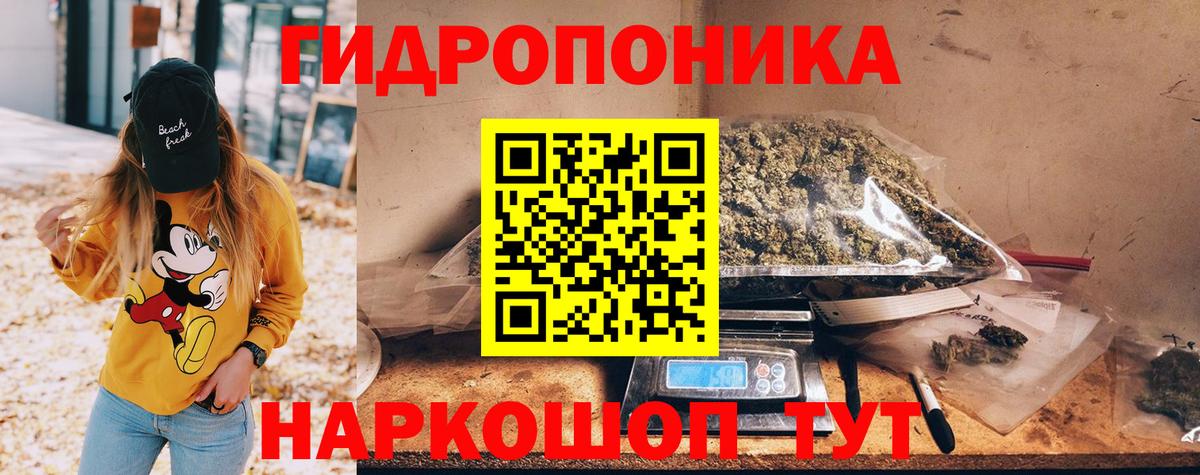 Конопля сатива  Канабис план  Гусиноозёрск  Каннабис ГИДРОПОН  Вход с VPN 